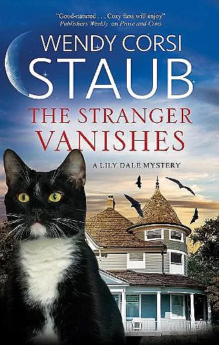 The Stranger Vanishes cover