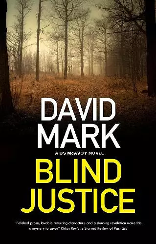 Blind Justice cover