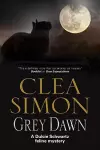 Grey Dawn cover