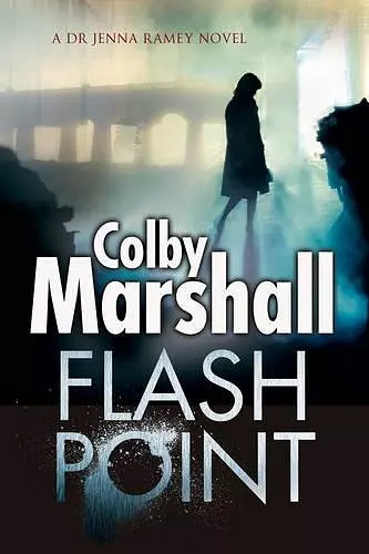 Flash Point cover