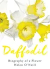 Daffodil cover