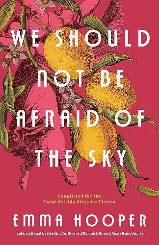 We Should Not Be Afraid of the Sky cover