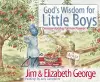 God's Wisdom for Little Boys cover