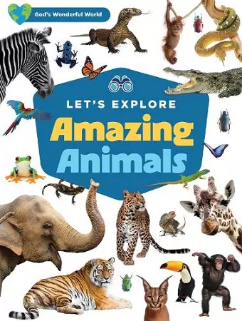 Let's Explore Amazing Animals cover