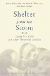 Shelter From The Storm cover