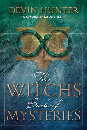 Witch's Book of Mysteries,The cover