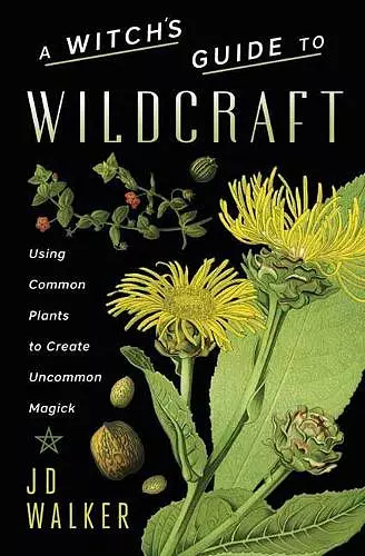 A Witch's Guide to Wildcraft cover