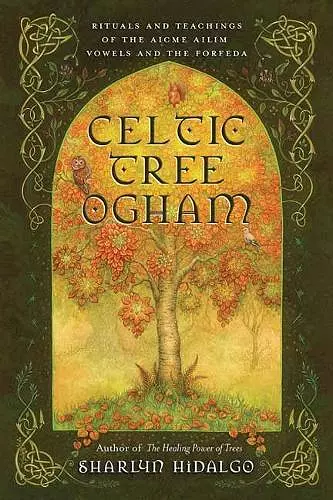 Celtic Tree Ogham cover