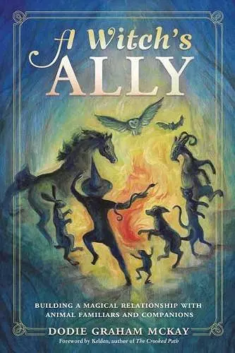 A Witch's Ally cover