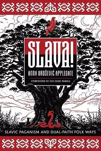 Slava! cover
