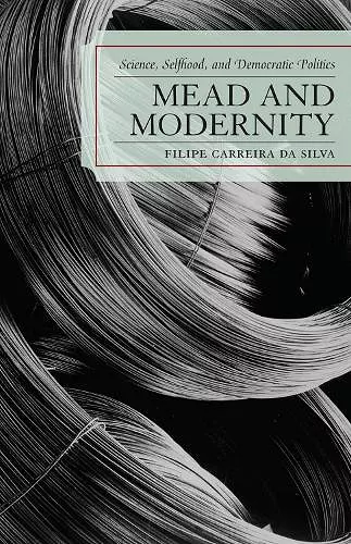 Mead and Modernity cover