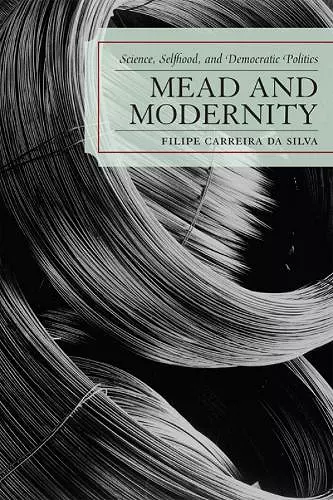 Mead and Modernity cover