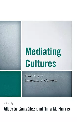 Mediating Cultures cover