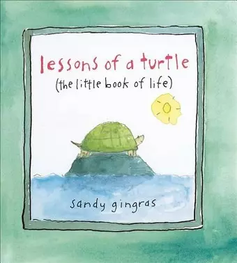 Lessons of a Turtle cover