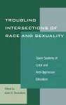 Troubling Intersections of Race and Sexuality cover