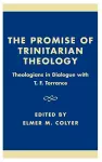 The Promise of Trinitarian Theology cover