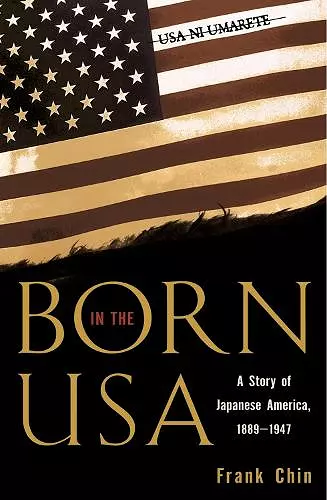 Born in the USA cover