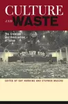 Culture and Waste cover