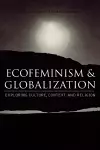 Ecofeminism and Globalization cover