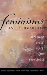 Feminisms in Geography cover