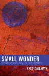 Small Wonder cover