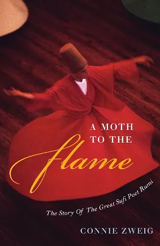 A Moth to the Flame cover