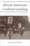 African Americans Confront Lynching cover