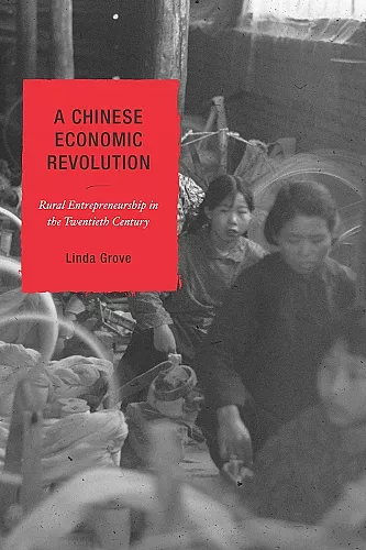 A Chinese Economic Revolution cover
