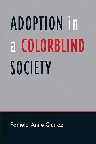 Adoption in a Color-Blind Society cover