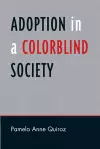 Adoption in a Color-Blind Society cover