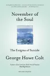 November of the Soul cover