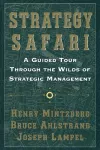 Strategy Safari cover