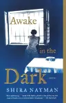 Awake in the Dark cover