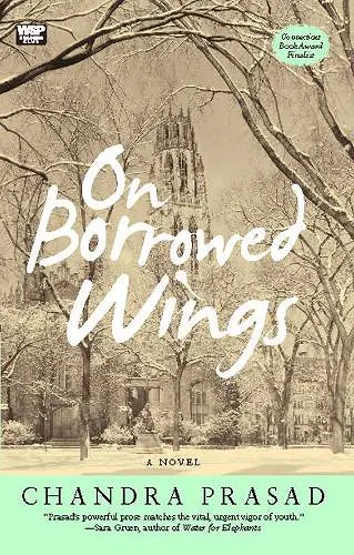 On Borrowed Wings cover