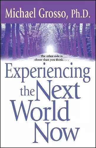 Experiencing the Next World Now cover
