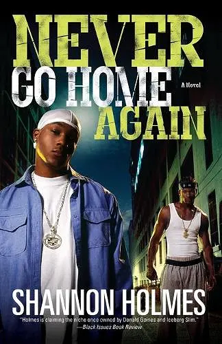 Never Go Home Again cover