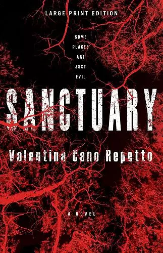 Sanctuary (Large Print Edition) cover