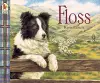 Floss cover