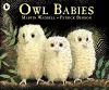 Owl Babies cover