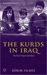 The Kurds in Iraq cover