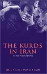 The Kurds in Iran cover