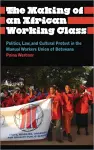 The Making of an African Working Class cover