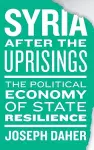 Syria after the Uprisings cover