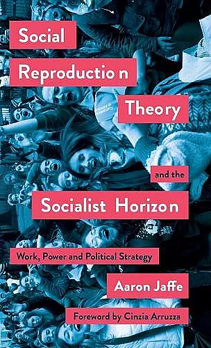 Social Reproduction Theory and the Socialist Horizon cover