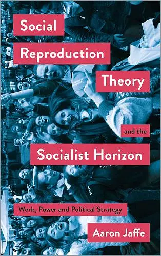 Social Reproduction Theory and the Socialist Horizon cover