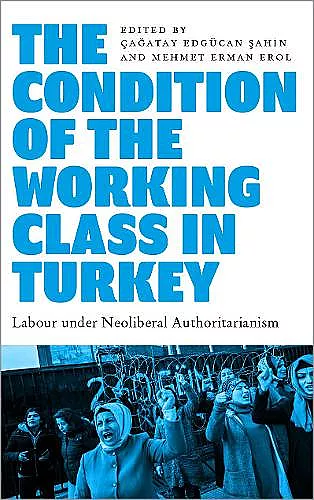 The Condition of the Working Class in Turkey cover