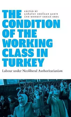 The Condition of the Working Class in Turkey cover