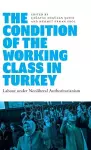 The Condition of the Working Class in Turkey cover