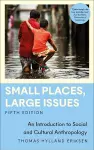 Small Places, Large Issues cover