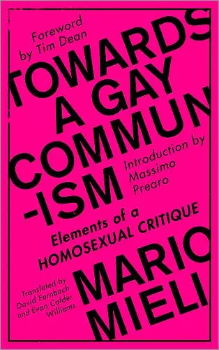 Towards a Gay Communism cover
